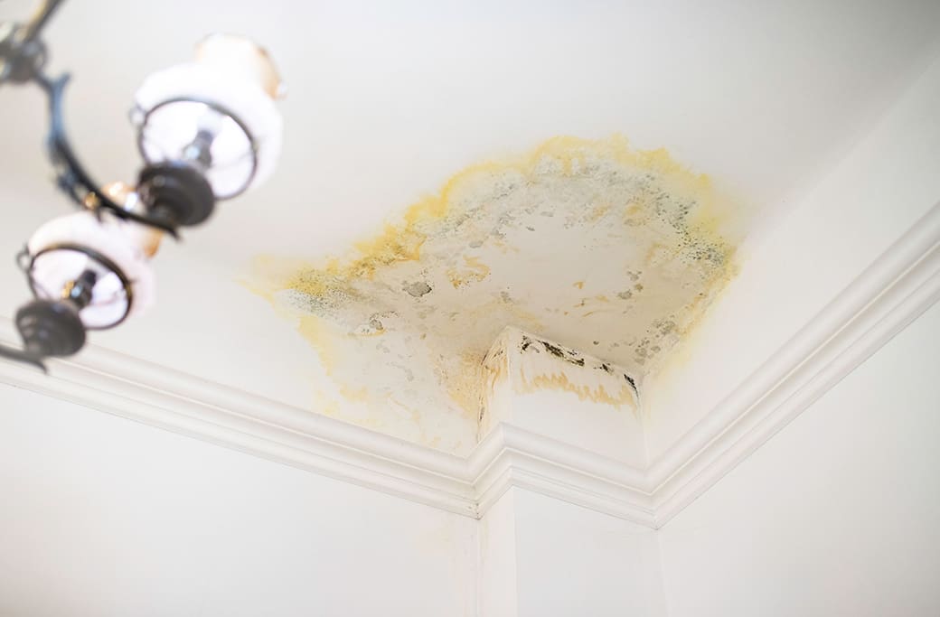 Water Damage Restoration Service Water Damage Restoration Service