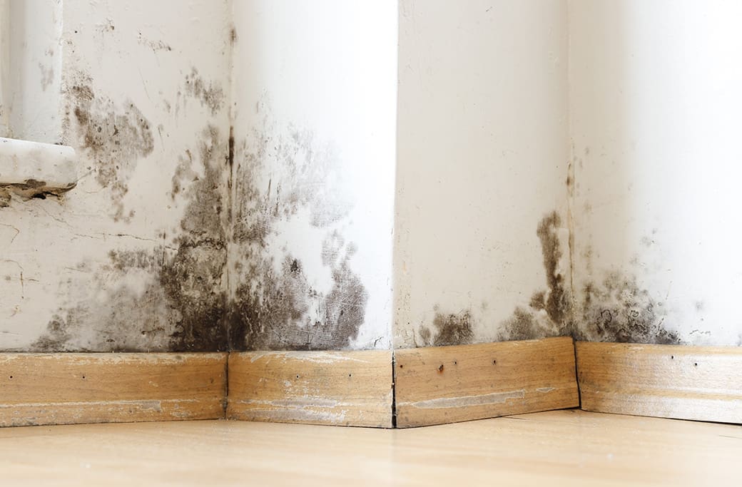 Jamestown Water Damage Restoration Service Jamestown Water Damage Restoration Service