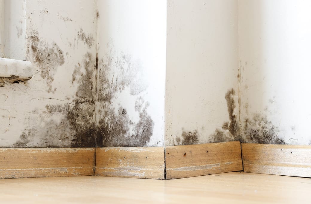 Jamestown Water Damage Restoration Service