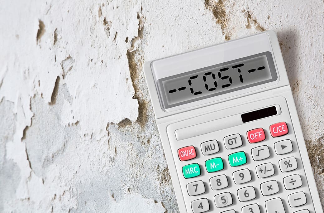 Costs of Mold Damage Restoration- Budgeting and Insurance Costs of Mold Damage Restoration: Budgeting and Insurance