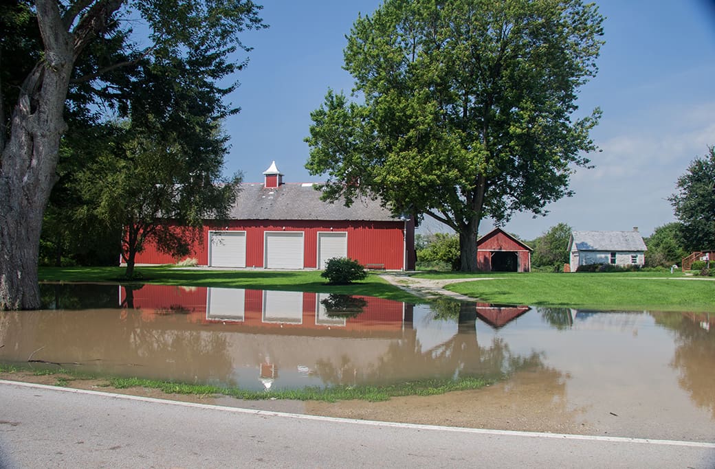 Hurricane Evacuation and Water Damage Prevention