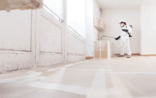 Mold Damage Repair Near Oak Ridge