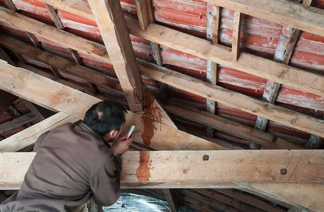 Moldy Attics Affecting Your Home’s Air Quality Moldy Attics Affecting Your Home's Air Quality