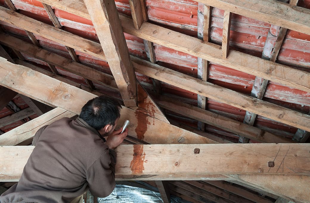 Moldy Attics Affecting Your Home's Air Quality