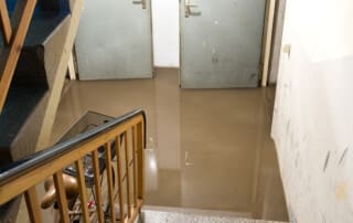 Basement Flood Near Lewisville