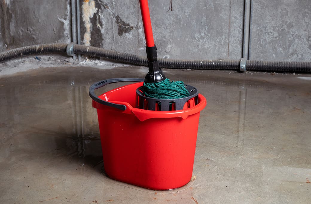 Basement Flood Repair Near Jamestown