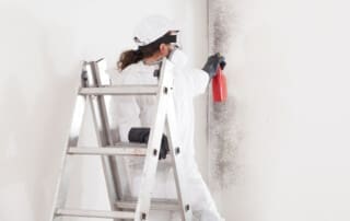 Mold Removal in Winston Salem