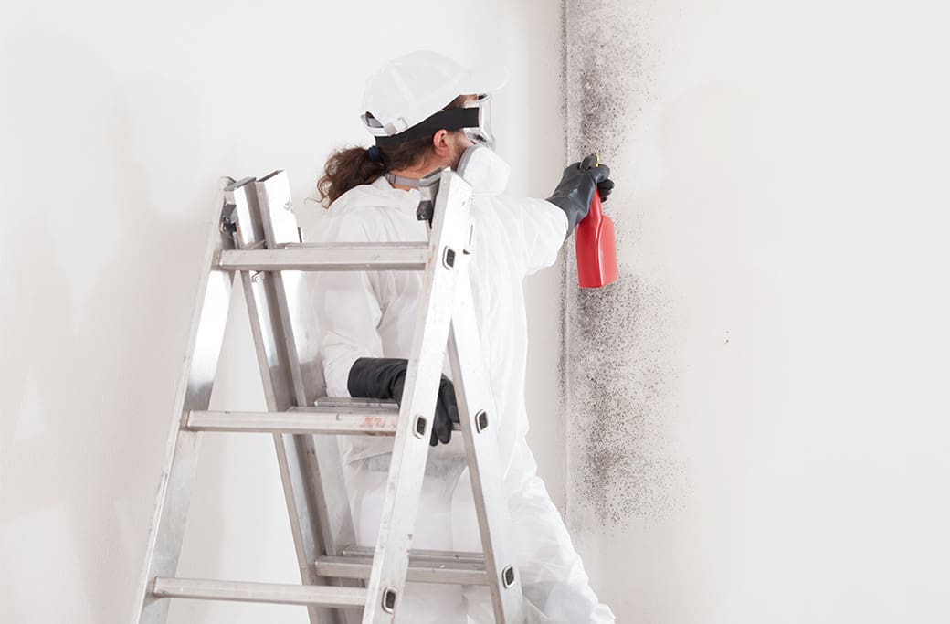 Mold Removal in Winston Salem