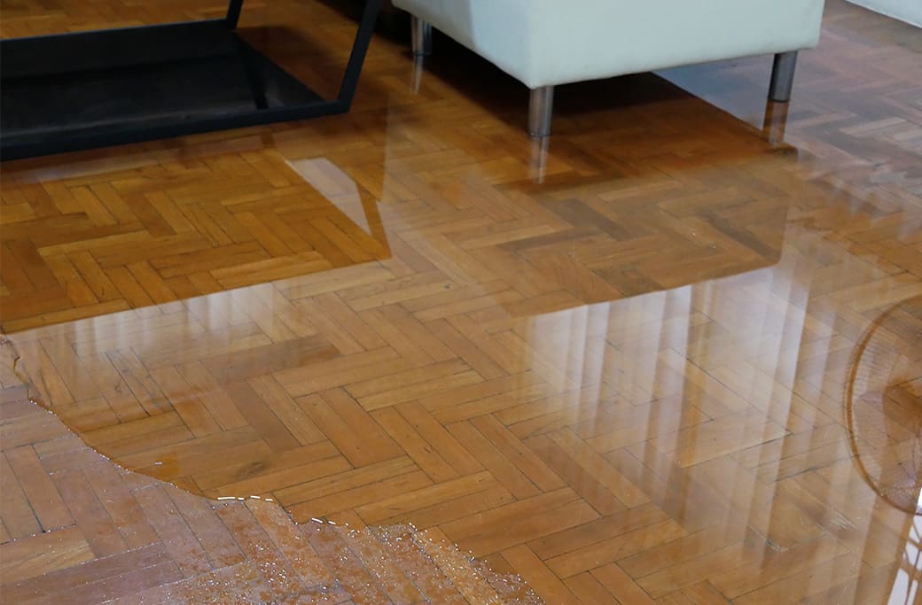 Water Damage Emergency Response: Essential Homeowner Tips