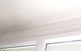 Mold Removal Near Clemmons