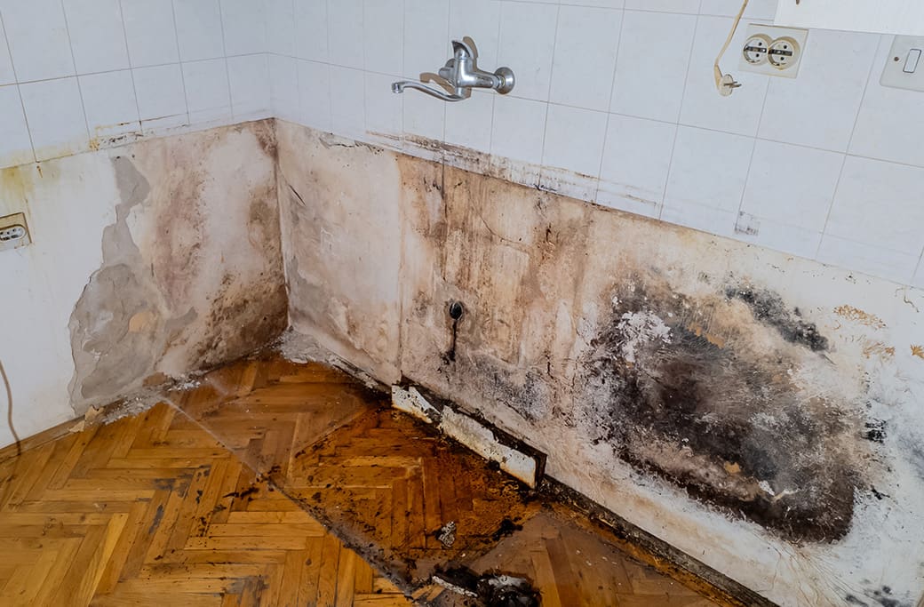 DIY vs. Professional Water Damage Restoration