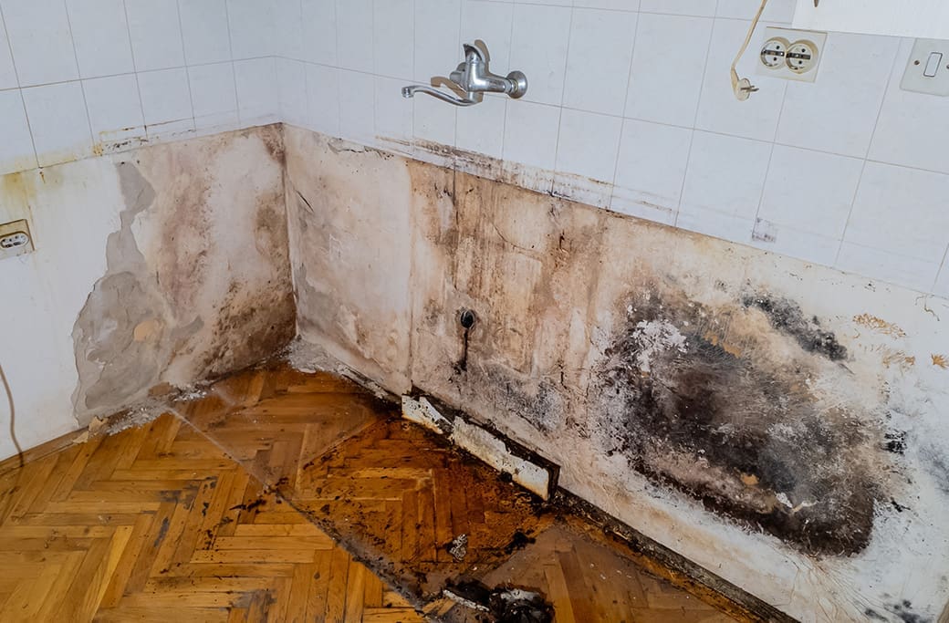Hidden Dangers in Every Home