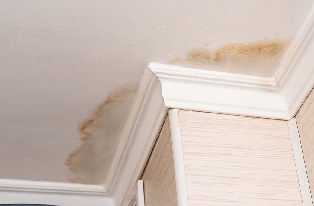Identifying Early Signs of Water and Mold Damage