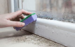 Protect Your Home from Water and Mold Damage This Summer
