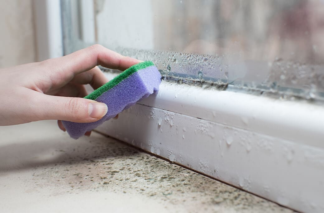 Protect Your Home from Water and Mold Damage This Summer Protect Your Home from Water and Mold Damage This Summer