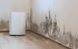 Can Air Purifiers Help with Mold? Exploring Their Role in Indoor Air Quality and Mold Prevention
