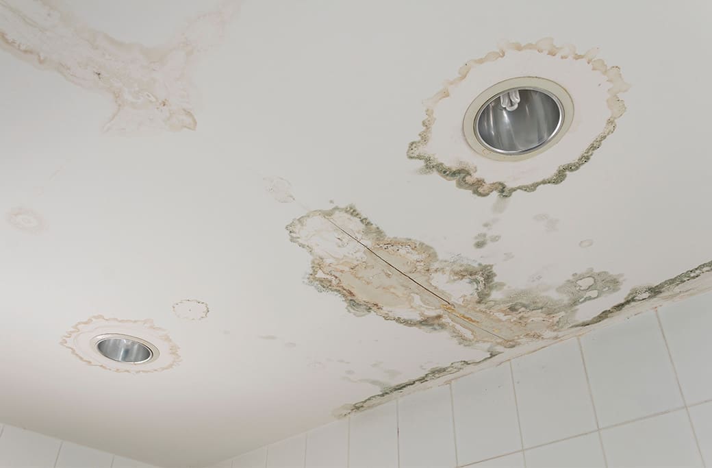 Common Roofing Emergencies and How to Spot Them