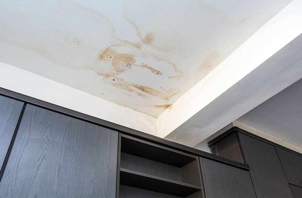 Emergency Response Guide- Roofing Issues Emergency Response Guide: Roofing Issues