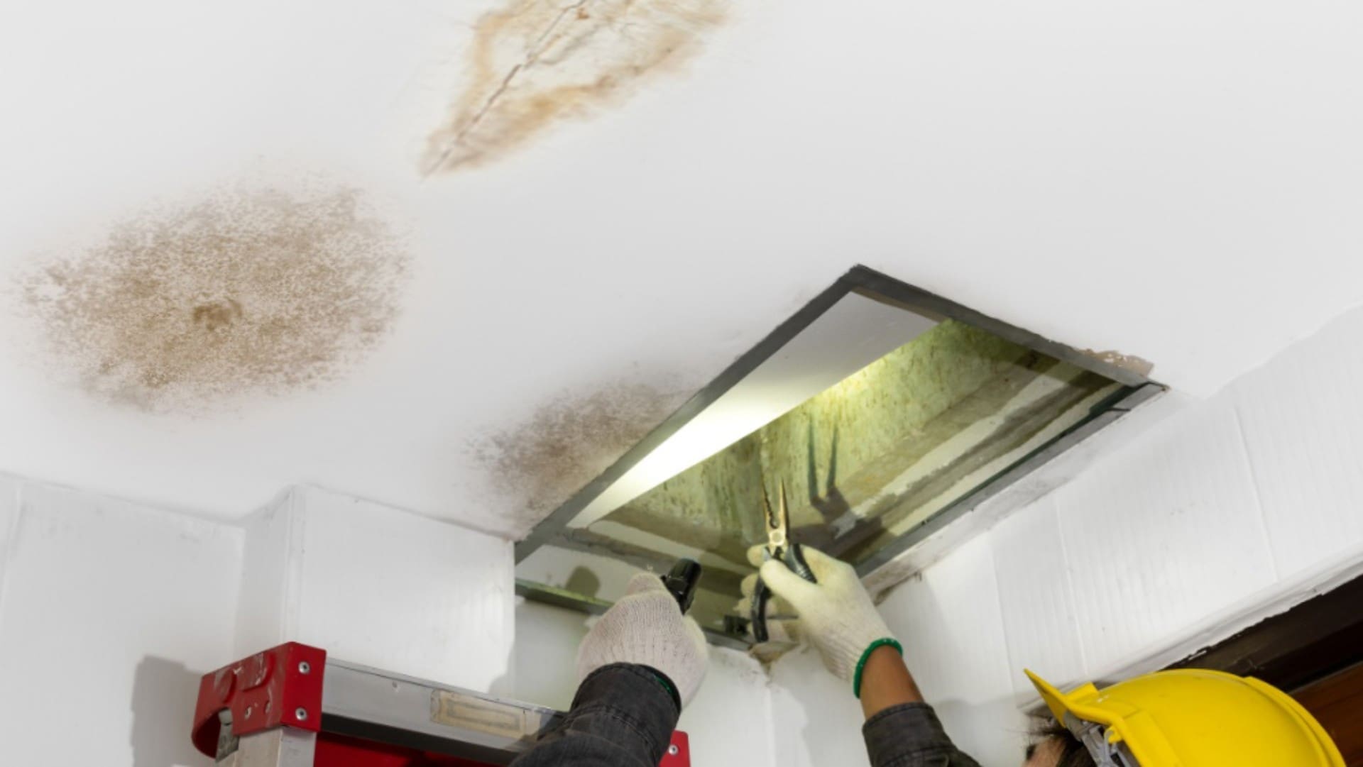 First Signs of Water Damage on Ceiling: What to Look For and What to Do