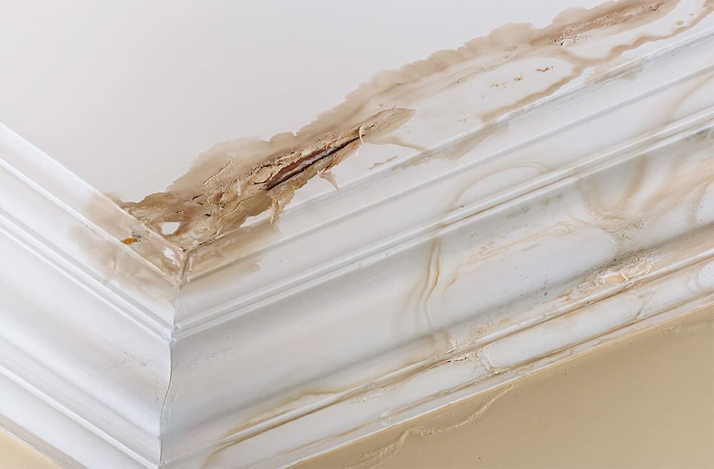 Understanding Water Damage in Clemmons, NC