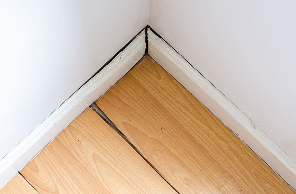 Warning Signs Homeowners Should Never Ignore