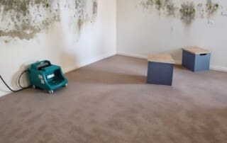 Water Damage on Walls: Causes, Signs, and Professional Solutions